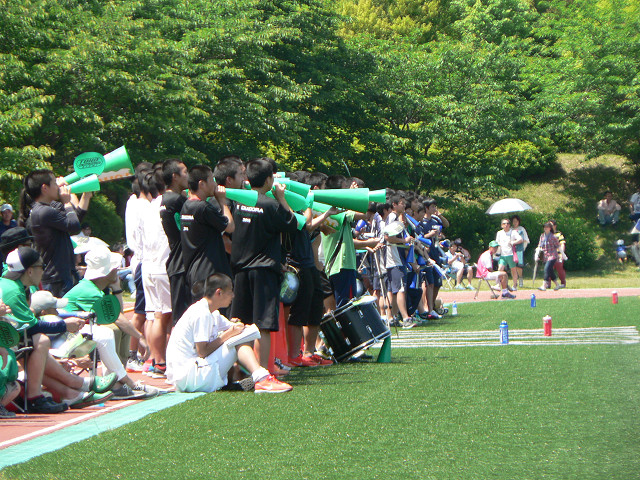 20170520A1_02.jpg